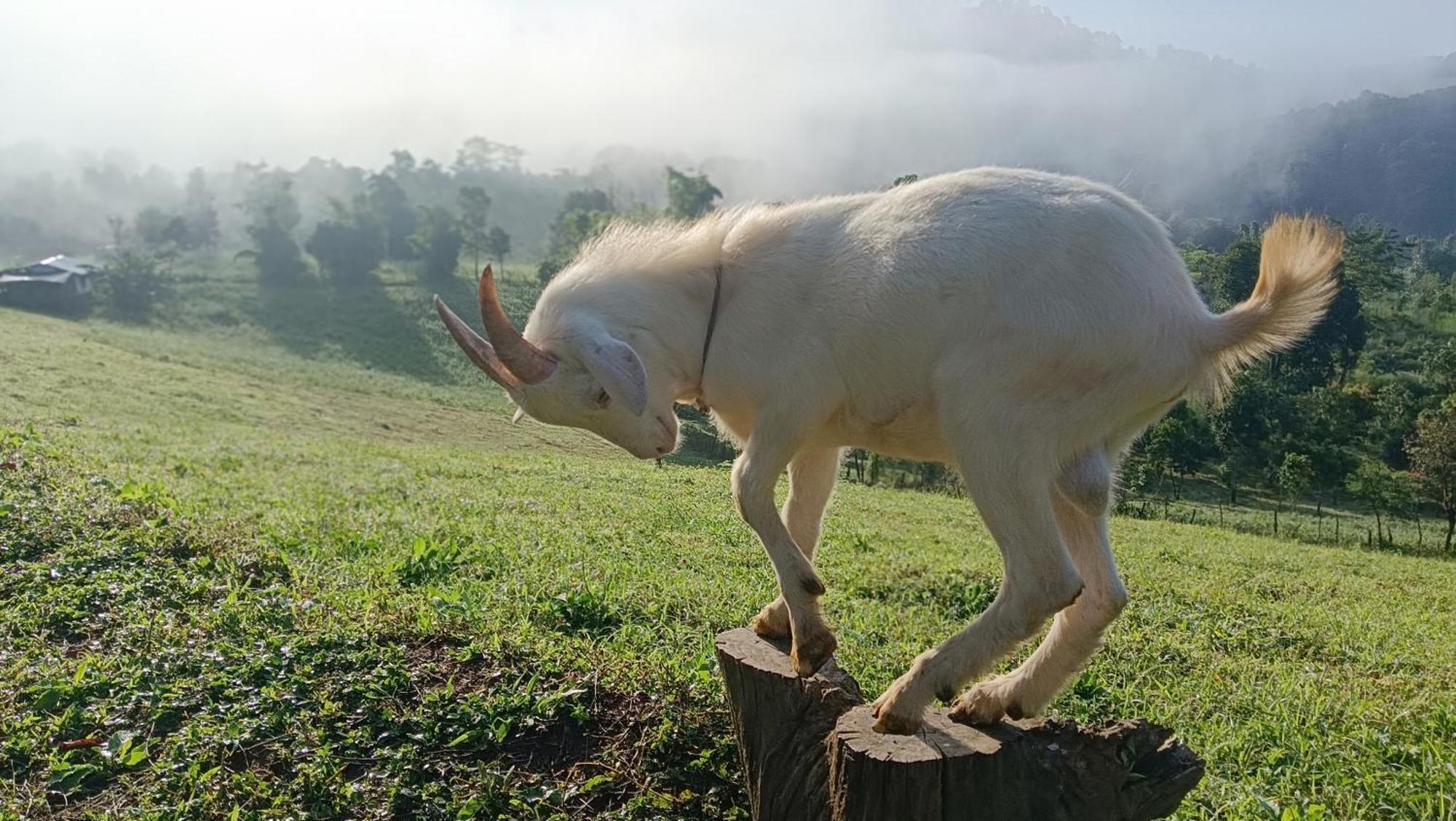 ไร่นิธิสุนทร Nithisoonthon Farmstay Mae Hong Son Exterior foto