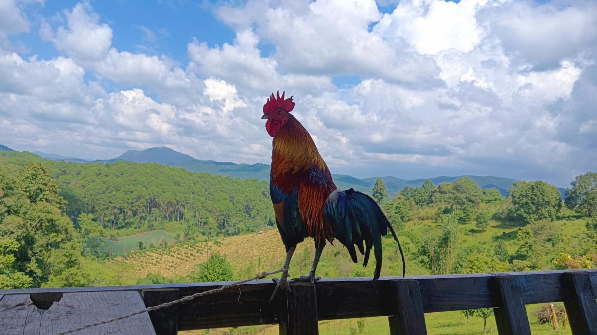 ไร่นิธิสุนทร Nithisoonthon Farmstay Mae Hong Son Exterior foto